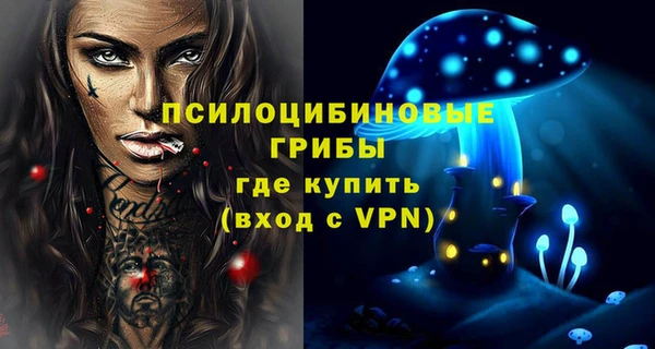 дживик Заволжск